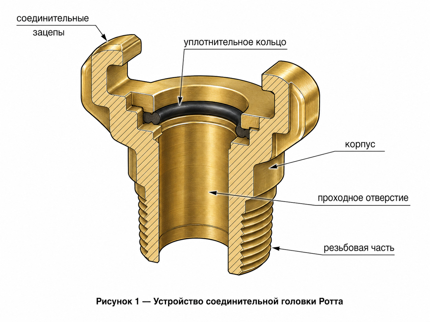 гайки Ротта, головки Ротта, соединительные головки Ротта, латунные пожарные головки, головка ГР, головка ГМ, головка ГЦ гайки Ротта, головки Ротта, соединительные головки Ротта, латунные пожарные головки, головка ГР, головка ГМ, головка ГЦ